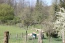 Sud de Rosoy